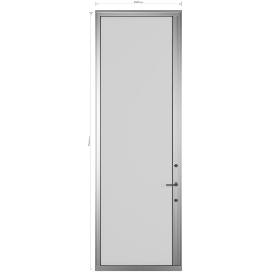 Entrance door P03